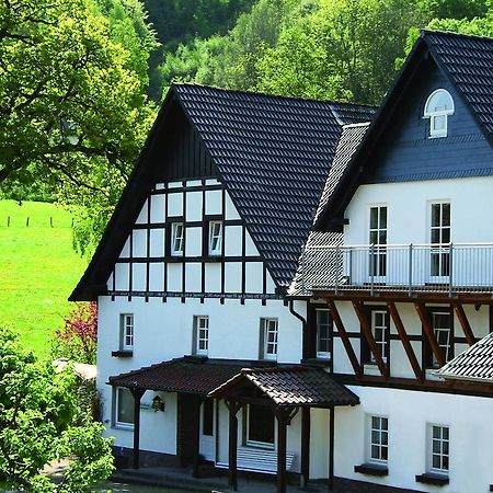 Haus Berghoff Aparthotel Sundern Exterior photo